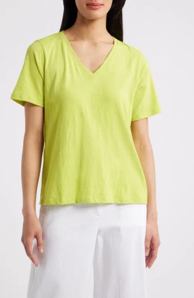 EILEEN FISHER EILEEN FISHER EASY V-NECK ORGANIC COTTON T-SHIRT