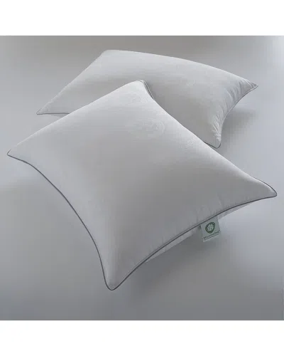 ELLA JAYNE SET OF 2 ELLA JAYNE MICRONONE PREMIUM ALLERGEN FREE GEL FIBER PILLOW