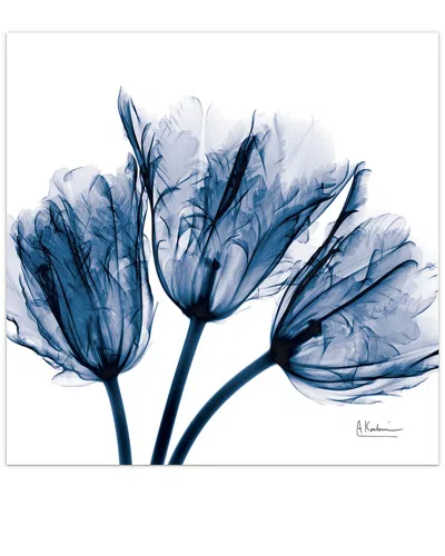 EMPIRE ART DIRECT EMPIRE ART DIRECT BLUE TULIP X-RAY BY ALBERT KOETSIER WALL ART