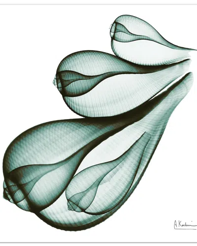 EMPIRE ART DIRECT EMPIRE ART DIRECT COASTAL SERENITY I BY ALBERT KOETSIER WALL ART