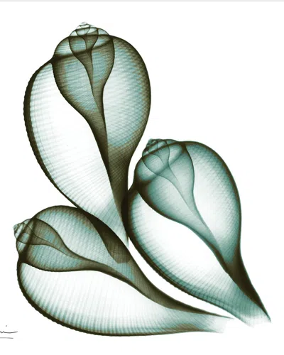 EMPIRE ART DIRECT EMPIRE ART DIRECT COASTAL SERENITY II BY ALBERT KOETSIER WALL ART