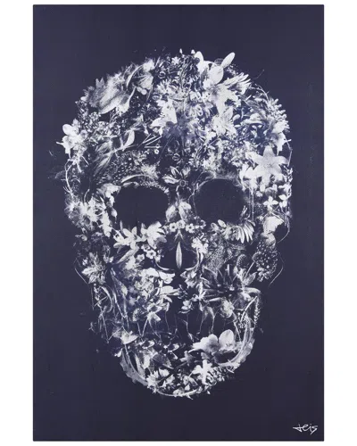 EMPIRE ART DIRECT EMPIRE ART DIRECT ETHEREAL SKULL WRAPPED CANVAS WALL ART