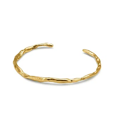 EVA REMENYI WOMEN'S TALISMAN BRACELET 14K GOLD