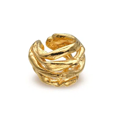 EVA REMENYI WOMEN'S TALISMAN WAVE EAR CUFF GOLD