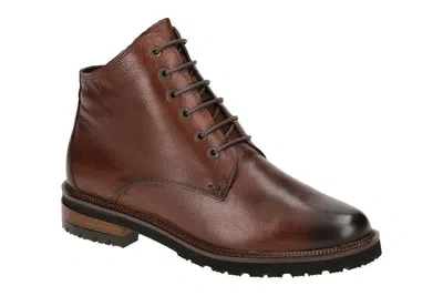 EVERYBODY EVERYBODY NELLY DAMEN STIEFELETTEN - ELEGANTE STIEFELETTE BRAUN ELEGANT NEU