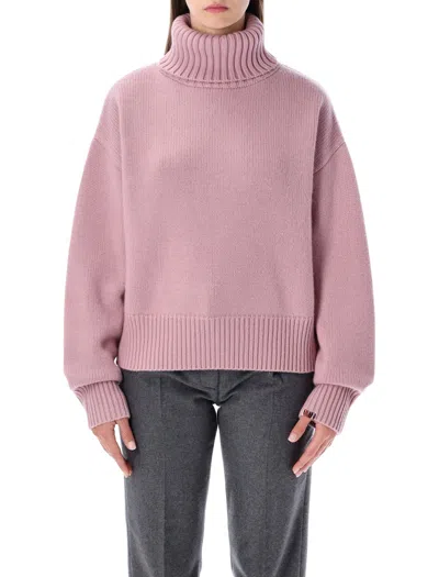 EXTREME CASHMERE EXTREME CASHMERE EXTREME CASHMERE N°434 CROP XTRA CASHMERE TURTLENECK SWEATER
