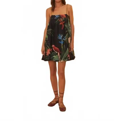 FARM RIO MIDNIGHT MACAW FIESTA SLEEVELESS MINI DRESS IN BLACK