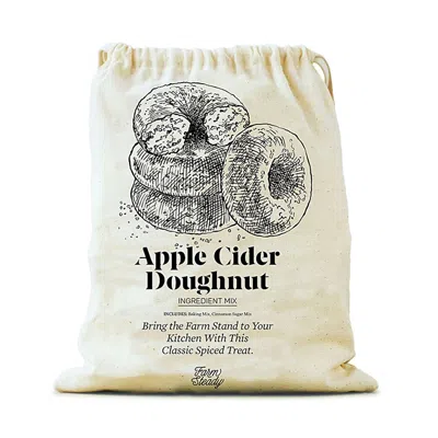 FARMSTEADY FARMSTEADY APPLE CIDER DONUT BAKING MIX