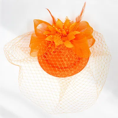 FASHNZFAB FEATHER PEARL MESH FLOWER FASCINATOR / HEADBAND