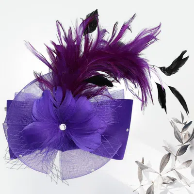 FASHNZFAB FLOWER BOW MESH FEATHER POINTED FASCINATOR / HAT