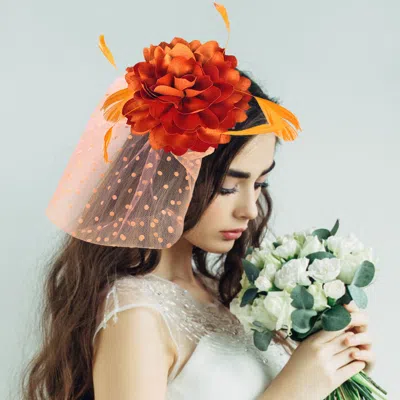FASHNZFAB FLOWER FEATHER VEIL FASCINATOR / HEADBAND