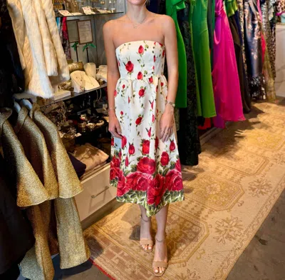 FLORA BEA SIA DRESS IN ROSEBUD