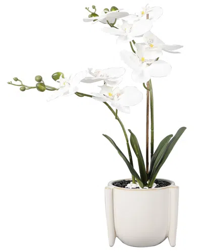 FLORA BUNDA FLORA BUNDA 18IN REAL-TOUCH ORCHIDS IN CERAMIC PLANTER