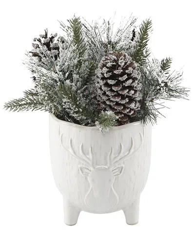FLORA BUNDA FLORA BUNDA XMAS MIX IN 6 STAGHEAD CERAMIC FOOTED POT