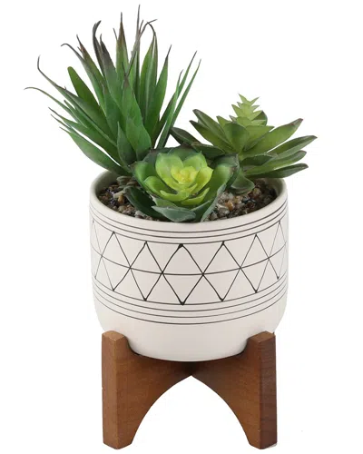 FLORA BUNDA FLORA BUNDA FAUX SUCCULENTS IN CERAMIC FOOTED STAND