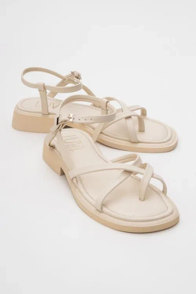 FOREVER & ALWAYS SHOES FOREVER & ALWAYS SHOES ANTAS STRAPPY LEATHER FLAT SANDALS