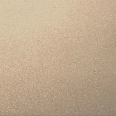 FRONTGATE IRON MATTE CHAMPAGNE