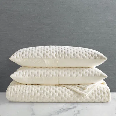 FRONTGATE RUMI VELVET BEDDING SET