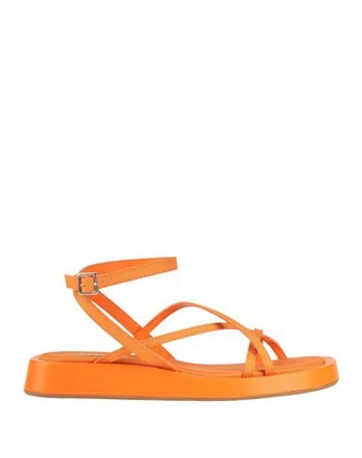 GIA RHW GIA / RHW WOMAN SANDALS ORANGE SIZE 8 TEXTILE FIBERS