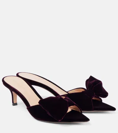 GIANVITO ROSSI 55 BOW-DETAIL VELVET MULES