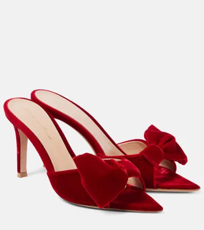 GIANVITO ROSSI 85 BOW-DETAIL VELVET MULES