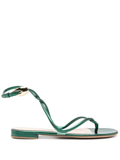 GIANVITO ROSSI BLACK MAMBA FLAT SANDALS