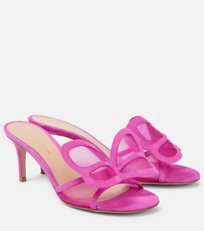 GIANVITO ROSSI ILIA 70 MESH MULES