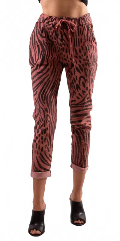 GIGI MODA CORNELIA ZEBRA SLIM PANTS IN SIENNA