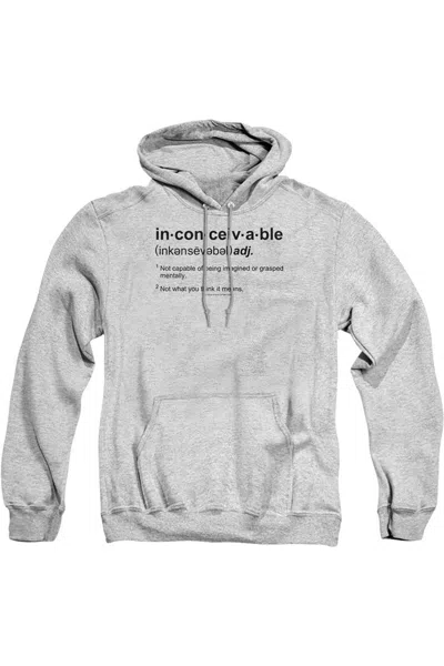 GILDAN PRINCESS BRIDE DEFINITION ADULT PULL OVER HOODIE