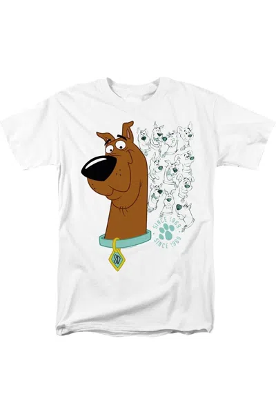 GILDAN SCOOBY DOO EVOLUTION OF SCOOBY DOO SHORT SLEEVE ADULT TEE / T-SHIRT