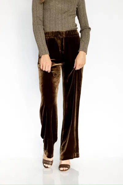 GO BY GO SILK COCKTAIL PANT