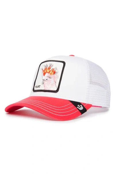 GOORIN BROS GOORIN BROS. THE FLIRTYBIRD TRUCKER HAT