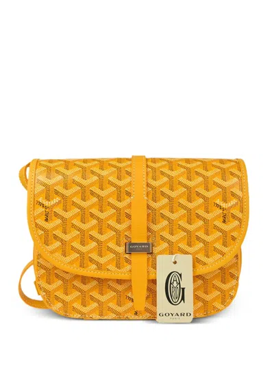 GOYARD 2024 BELVEDERE PM SHOULDER BAG