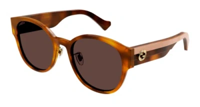 GUCCI GUCCI GG1304SK-004 HAVANA CRYSTAL BROWN SUNGLASSES