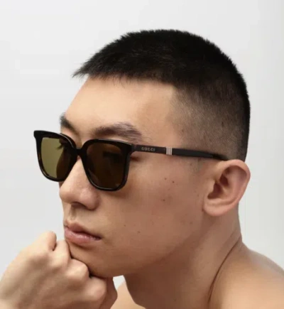 GUCCI GUCCI GG1493S-002 HAVANA SUNGLASSES