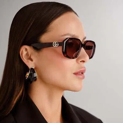 GUCCI GUCCI GG1535S-002 HAVANA SUNGLASSES