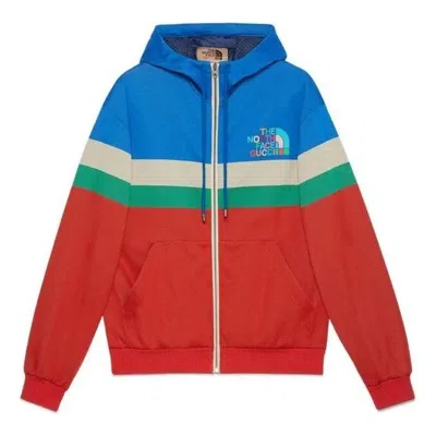 GUCCI Gucci x The North Face Hooded Jacket 'Multicolor'