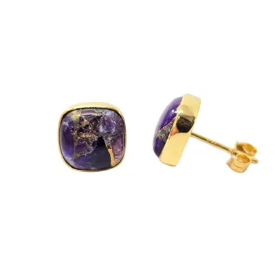 HARFI WOMEN'S SILVER / PURPLE AMETHYST FEBRUARY BIRTHSTONE GOLD VERMEIL STUD EARRINGS