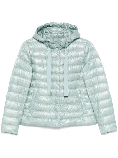 HERNO PADDED JACKET