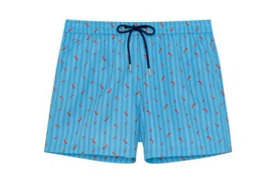 HOM HOM ESPELETTE BEACH BOXER