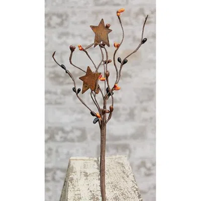 HOMEGIFO PRIMITIVE MIX PIP & STAR PICK 12"