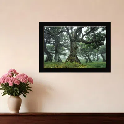 HOMEZIA ENCHANTED FOREST I 1 BLACK FRAMED PRINT WALL ART