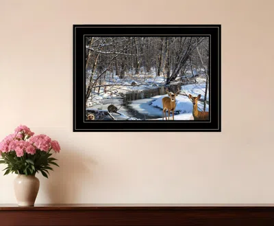 HOMEZIA GREAT OUTDOORS NATURE 2 BLACK FRAMED PRINT WALL ART