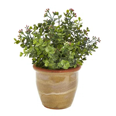 HOMPLANTI 10" EUCALYPTUS AND SEDUM ARTIFICIAL PLANT IN CERAMIC PLANTER