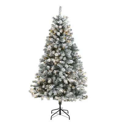 HOMPLANTI 6' FLOCKED ROCK SPRUCE CHRISTMAS TREE W/250 LED AND 586 TIPS