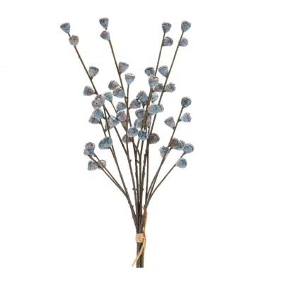 HOUZBLING BERRY POD BUNDLE (SET OF 2) 19.5"H PLASTIC