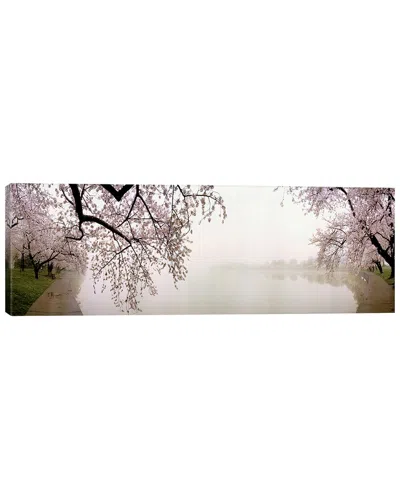 ICANVAS DISCONTINUED ICANVAS CHERRY BLOSSOMS AT THE LAKESIDEWASHINGTON DC