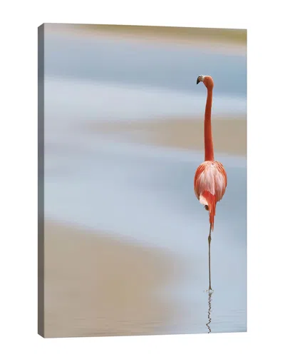 ICANVAS ICANVAS I ART PIECE BY ANNA CSERESNJES WALL ART