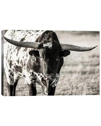 ICANVAS ICANVAS LONGHORN PORTRAIT BY TYLER STOCKTON WALL ART