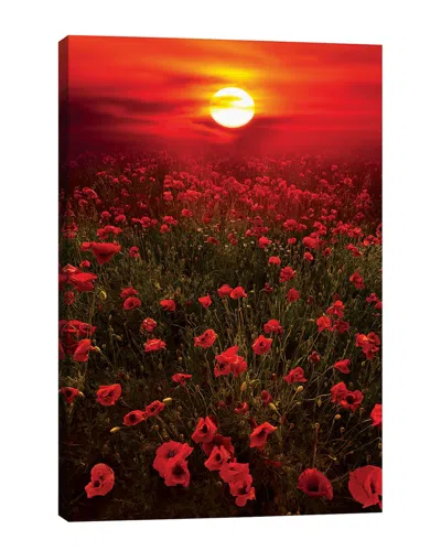 ICANVAS ICANVAS WARM SUNSET BY MARCO CARMASSI WALL ART